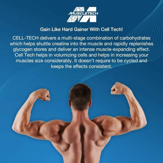 MuscleTech Cell-Tech 6lb