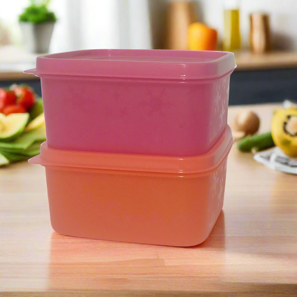 Set of 2 Square Airtight Food Storage Containers | BPA-Free & Leak-Proof